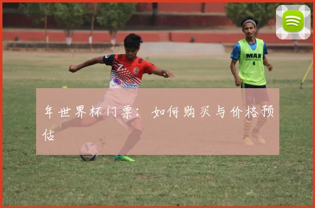 年世界杯门票:如何购买与价格预估