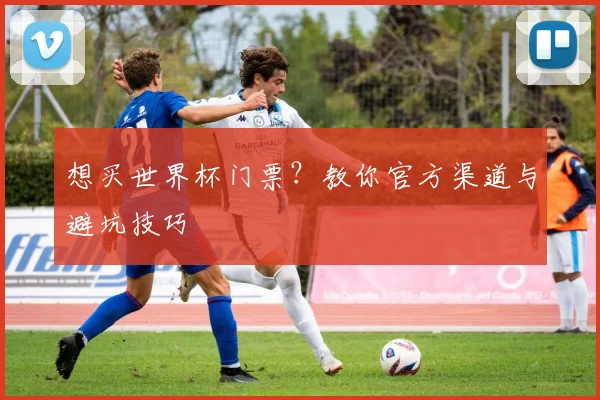 想买世界杯门票？教你官方渠道与避坑技巧